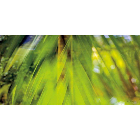 Palm Abstract Black Modern Wood Framed Art Print with Double Matting by Goldstein, Ed