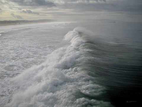 Silver Wave Black Ornate Wood Framed Art Print with Double Matting by Goldstein, Ed