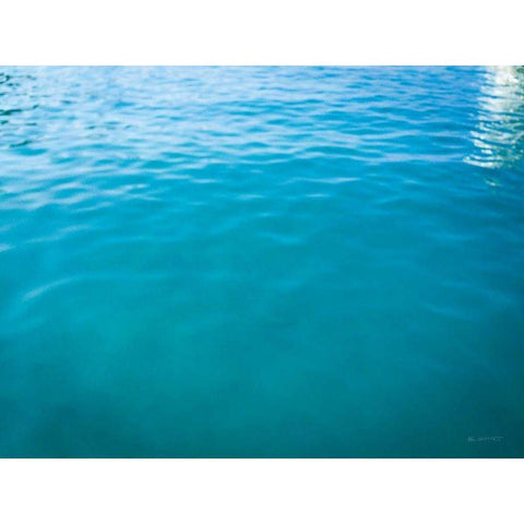 The Calm Black Modern Wood Framed Art Print with Double Matting by Goldstein, Ed