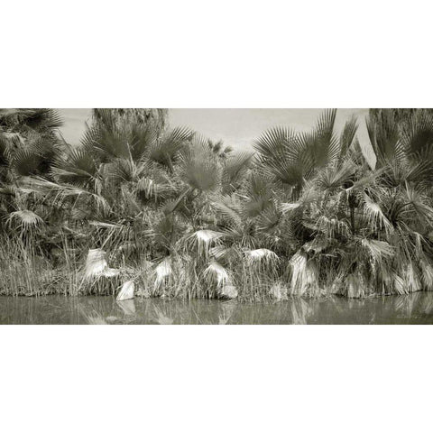 Water Palms Gold Ornate Wood Framed Art Print with Double Matting by Goldstein, Ed