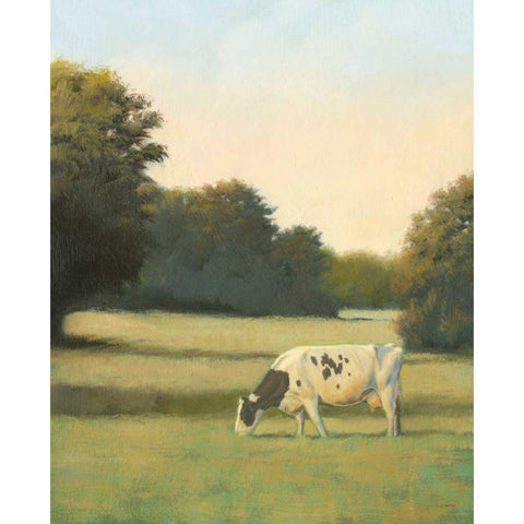 Morning Meadows I White Modern Wood Framed Art Print by Wiens, James