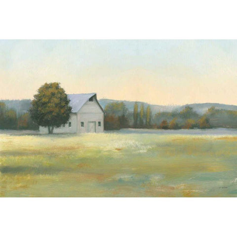 Morning Meadows II White Modern Wood Framed Art Print by Wiens, James