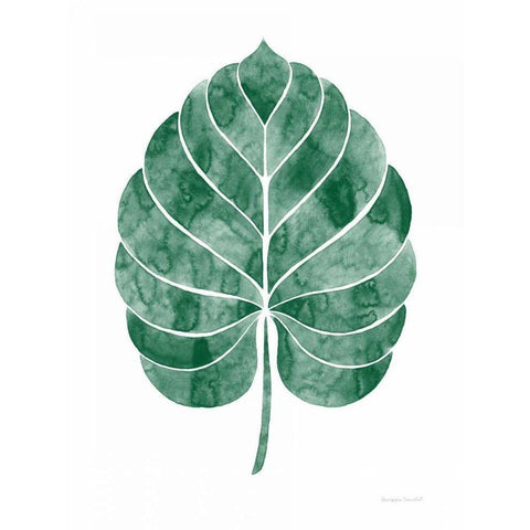 Botanic Inspiration III No Words Black Modern Wood Framed Art Print with Double Matting by Snowdon, Alexandra