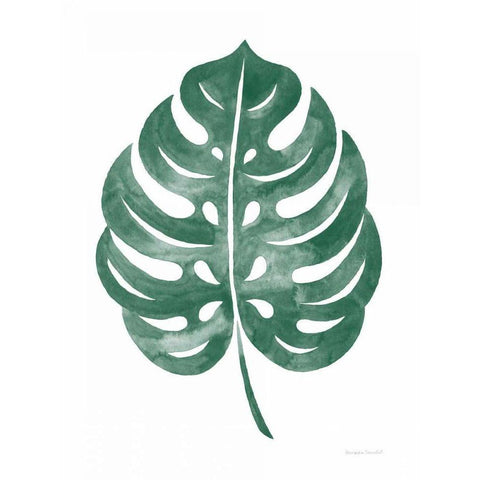 Botanic Inspiration IV No Words Black Modern Wood Framed Art Print with Double Matting by Snowdon, Alexandra