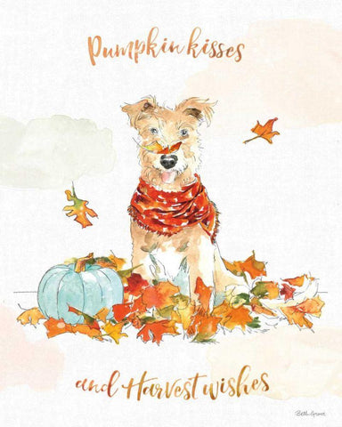 Harvest Dogs II White Modern Wood Framed Art Print with Double Matting by Grove, Beth