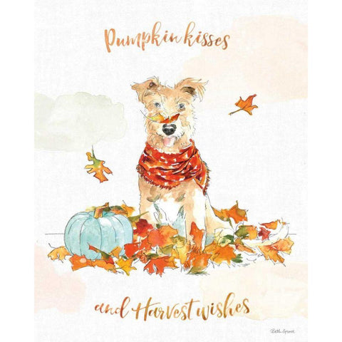 Harvest Dogs II Black Modern Wood Framed Art Print by Grove, Beth