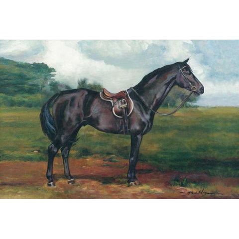 Black Horse White Modern Wood Framed Art Print by Hageman, Marilyn