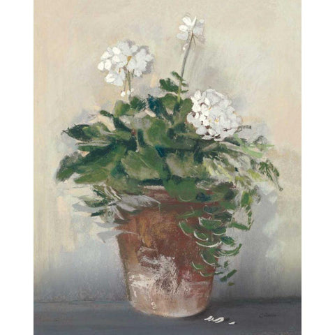 Pot of White Geraniums Gold Ornate Wood Framed Art Print with Double Matting by Rowan, Carol