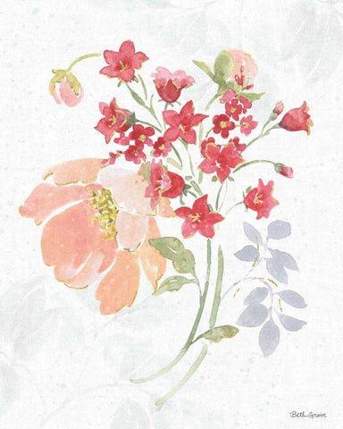 Floral Focus IX White Modern Wood Framed Art Print with Double Matting by Grove, Beth