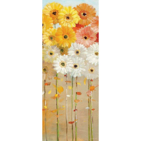 Daisies Fall I Black Modern Wood Framed Art Print with Double Matting by Nai, Danhui