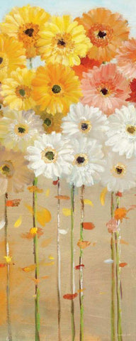 Daisies Fall I White Modern Wood Framed Art Print with Double Matting by Nai, Danhui