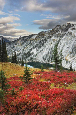 Lake Ann North Cascades  White Modern Wood Framed Art Print with Double Matting by Majchrowicz, Alan