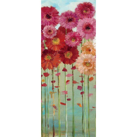 Daisies Spring II Black Modern Wood Framed Art Print with Double Matting by Nai, Danhui