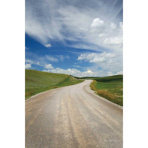 Gravel Road Near Choteau Montana II Gold Ornate Wood Framed Art Print with Double Matting by Majchrowicz, Alan