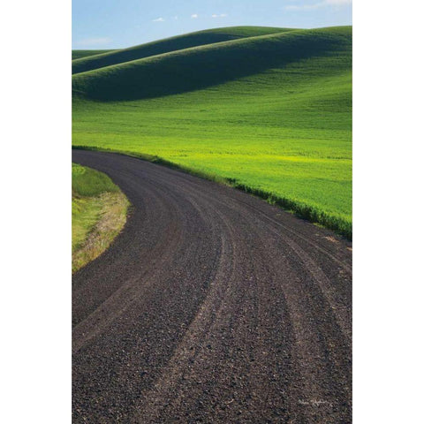 Going Through Palouse Wheat Fields Gold Ornate Wood Framed Art Print with Double Matting by Majchrowicz, Alan