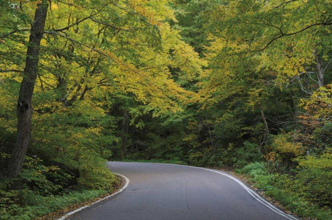 Smugglers Notch Road White Modern Wood Framed Art Print with Double Matting by Majchrowicz, Alan