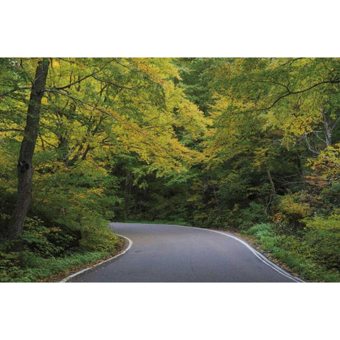 Smugglers Notch Road Black Modern Wood Framed Art Print with Double Matting by Majchrowicz, Alan