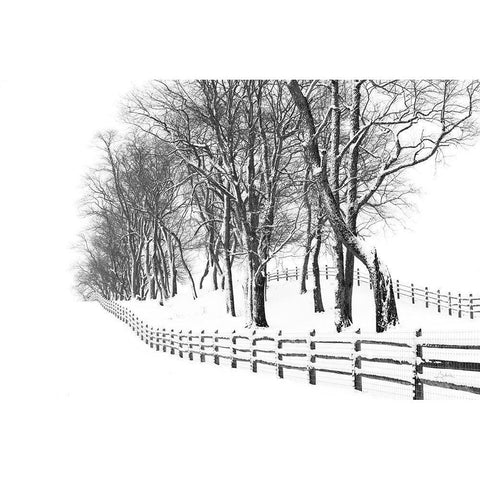 Winter Wonderland White Modern Wood Framed Art Print by Aledanda