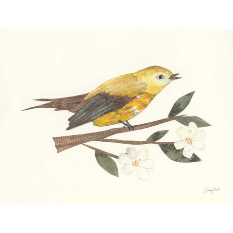 Birds and Blossoms I White Modern Wood Framed Art Print by Prahl, Courtney