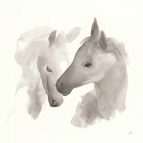 Nuzzling I Black Modern Wood Framed Art Print with Double Matting by Paschke, Chris