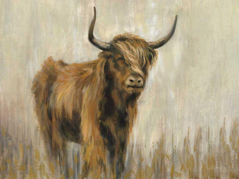 Highland Mountain Cow Black Ornate Wood Framed Art Print with Double Matting by Vassileva, Silvia