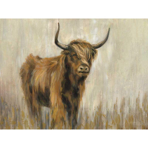 Highland Mountain Cow Black Modern Wood Framed Art Print with Double Matting by Vassileva, Silvia