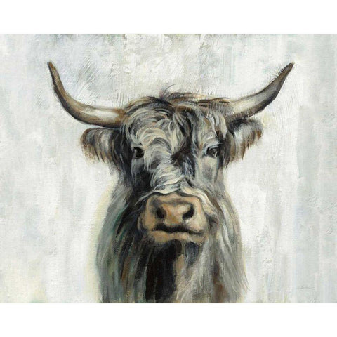 Highland Cow Horizontal Black Modern Wood Framed Art Print with Double Matting by Vassileva, Silvia