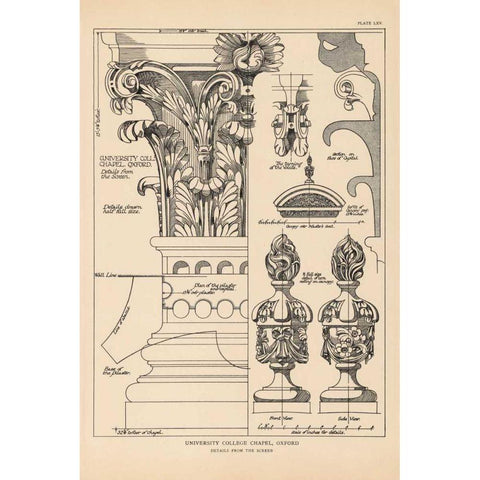 English Renaissance VII Gold Ornate Wood Framed Art Print with Double Matting by Wild Apple Portfolio