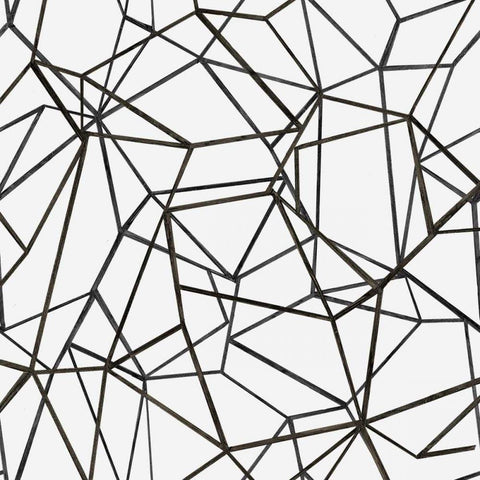 Succulent Pattern BW Black Ornate Wood Framed Art Print with Double Matting by Wild Apple Portfolio