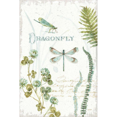 My Greenhouse Botanical Dragonfly Gold Ornate Wood Framed Art Print with Double Matting by Audit, Lisa