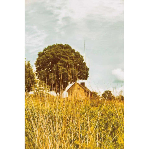 Grass and Sky White Modern Wood Framed Art Print by Aledanda