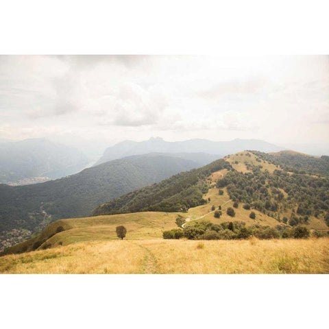 Grassy Hills and Mountains Gold Ornate Wood Framed Art Print with Double Matting by Aledanda