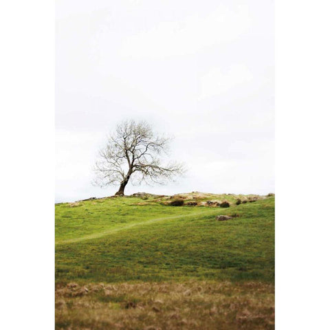 Dales Way II Gold Ornate Wood Framed Art Print with Double Matting by Marshall, Laura