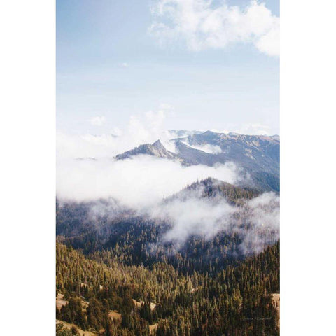 Hurricane Ridge I Gold Ornate Wood Framed Art Print with Double Matting by Marshall, Laura
