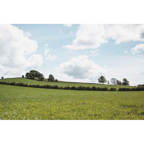 Lake District IV Gold Ornate Wood Framed Art Print with Double Matting by Marshall, Laura