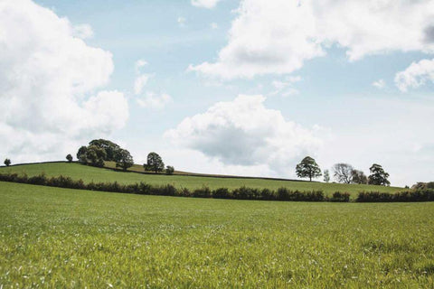 Lake District IV White Modern Wood Framed Art Print with Double Matting by Marshall, Laura