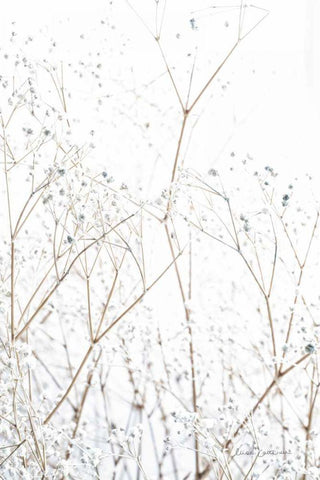 Gypsophila White Modern Wood Framed Art Print with Double Matting by Catterall, Elise