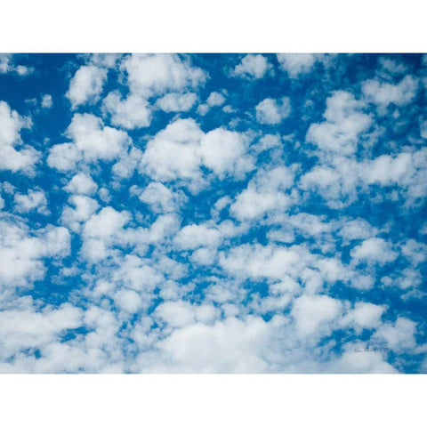 Powder Puff Skies Black Modern Wood Framed Art Print by Goldstein, Ed