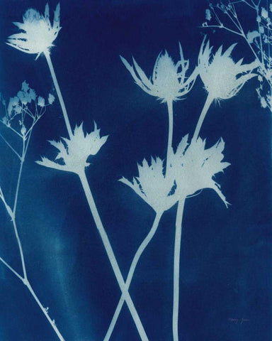 Enchanted Cyanotype I White Modern Wood Framed Art Print with Double Matting by Green, Nancy