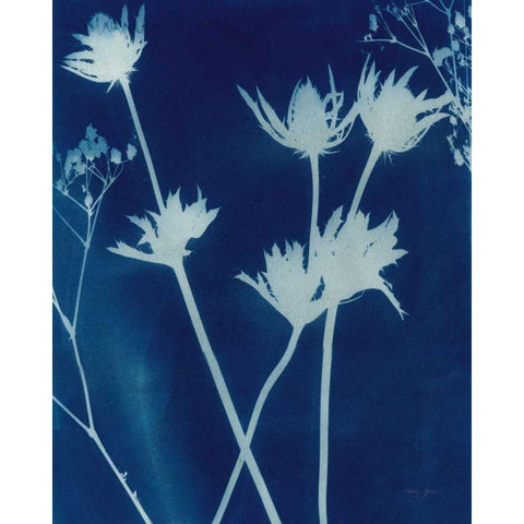 Enchanted Cyanotype I Black Modern Wood Framed Art Print by Green, Nancy