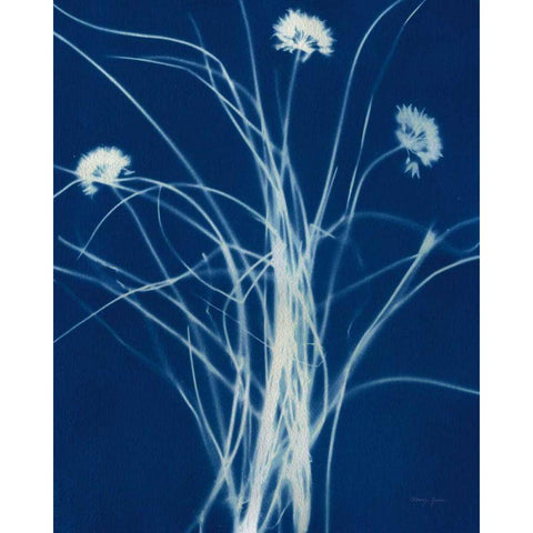 Enchanted Cyanotype II Black Modern Wood Framed Art Print by Green, Nancy