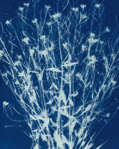 Enchanted Cyanotype III White Modern Wood Framed Art Print with Double Matting by Green, Nancy