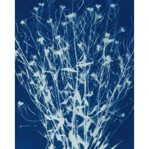 Enchanted Cyanotype III Gold Ornate Wood Framed Art Print with Double Matting by Green, Nancy
