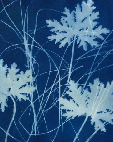 Enchanted Cyanotype IV Black Ornate Wood Framed Art Print with Double Matting by Green, Nancy
