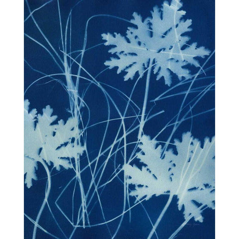Enchanted Cyanotype IV Black Modern Wood Framed Art Print by Green, Nancy