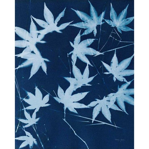 Enchanted Cyanotype V Gold Ornate Wood Framed Art Print with Double Matting by Green, Nancy