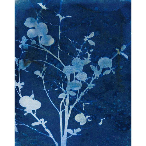 Enchanted Cyanotype VI Black Modern Wood Framed Art Print with Double Matting by Green, Nancy