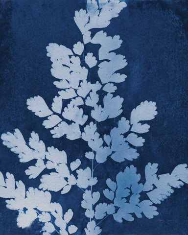 Enchanted Cyanotype VII White Modern Wood Framed Art Print with Double Matting by Green, Nancy