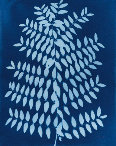 Enchanted Cyanotype VIII Black Ornate Wood Framed Art Print with Double Matting by Green, Nancy