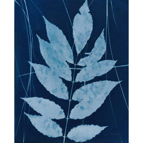 Enchanted Cyanotype IX Black Modern Wood Framed Art Print with Double Matting by Green, Nancy
